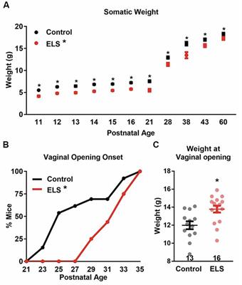 Early Life Stress Delays Sexual Maturation in Female Mice